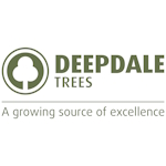Deepdale Trees