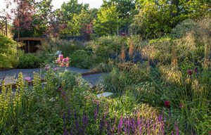 Sara Jane Rothwell MSGD - Family Garden, London - Image by Marianne Majerus
