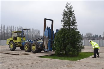 Using our fleet of tree spades, we can safely and efficiently relocate trees with a stem girth of up to 90cms