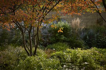 Studio Cullis - Brockley garden