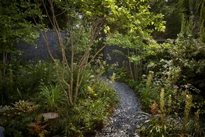 Stefano Marinaz Landscape Architecture Principle Designer Stefano Marinaz MSGD - Edgy Woodland Wonderland - Image by Alister Thorpe