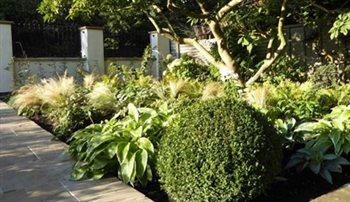 Front garden planting in greens and whites.