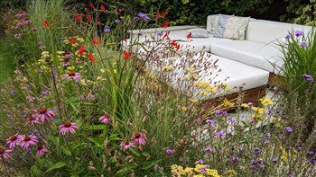 Garden bed with perennial planting