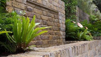 Richmond garden. Water feature, shade planting, ferns.