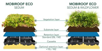 Sedum Roofs: A sustainable approach to water management
