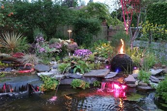 A move away from traditional above ground features, these Koi ponds allow clients to interact with their fish in a more natural setting. Complete with areas for deep water and marginal planting together with a wetland.