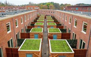 Green boundary fences for new construction project ‘Haagse Hendrik’.