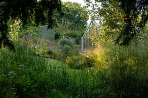 Adam Vetere MSGD - A Contemporary Cottage Garden - Image Ellie Walpole