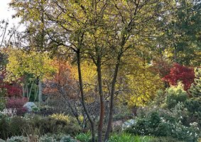 Sarah Eberle FSGD - Garden in Oxfordshire