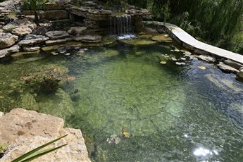 The most luxurious of all options for any garden, the swim pond (or recreational pond) is a must-have. Biologically filtered via a large wetland, these ponds provide clear water to swim in, and can even house fish, too!