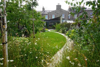 City garden with mini-woodland. Adding form to this garden to give structure whilst also retaining space for the children to play and a mini woodland with wildflower meadow was the challenge for this small city garden.