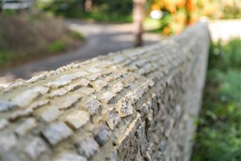 Stone wall.  Surrey countryside garden.