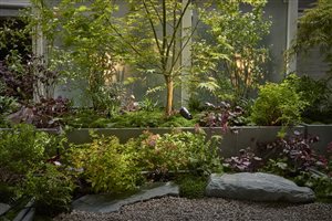 Haruko Seki - A Private Patio in Marylebone - Image by Alister Thorpe