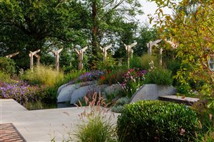 Adam Vetere MSGD - A Contemporary Cottage Garden - Image Ellie Walpole