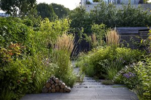 Stefano Marinaz Landscape Architecture Principle Designer Stefano Marinaz MSGD - A Tapestry of Urban Greenery - Image by Alister Thorpe