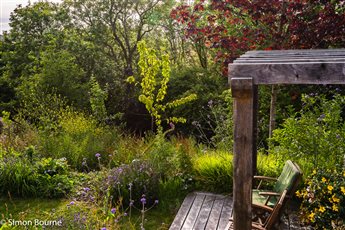 Truro wildlife garden for clients who had just retired and bought a new build.  Multiple levels make it an interesting site and using semi mature trees and naturalistic planting, the garden seems like its been there ages.