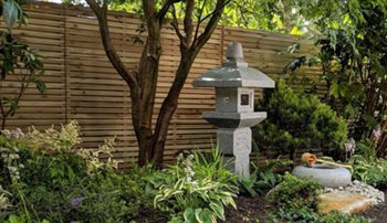 Oriental style garden using an existing Acer.