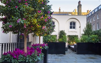 Winter Garden in Regents Park
Image: Joanna Kossack