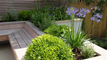 West london modern garden, planters and bench